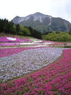 c0013438_19324278.jpg
