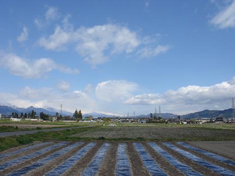 a0014840_21475150.jpg