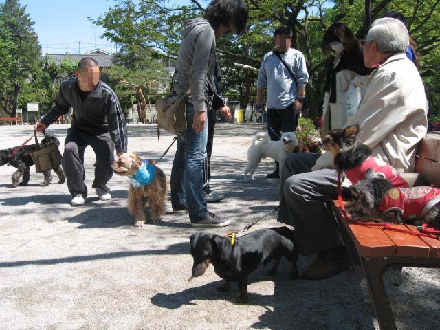 ご心配をお掛けしました(o*。_。)oペコッ_c0102545_17335038.jpg