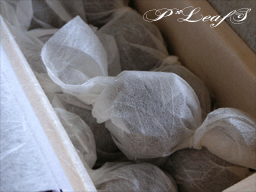 c0176651_1891421.gif