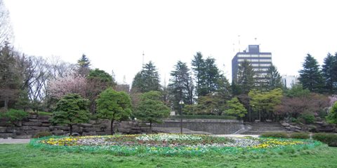 d0049152_843312.jpg