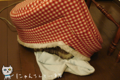 謹慎中?_e0031853_1427422.jpg