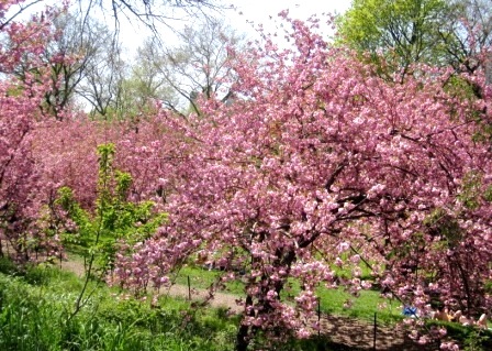 b0173754_13159.jpg