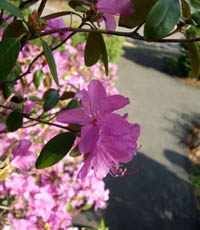 c0097856_23223224.jpg