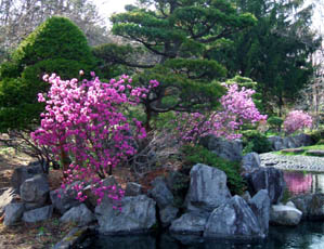 c0097856_23225912.jpg