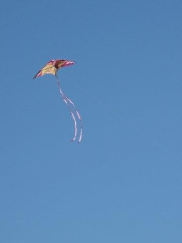 Strings_c0157558_2165992.jpg