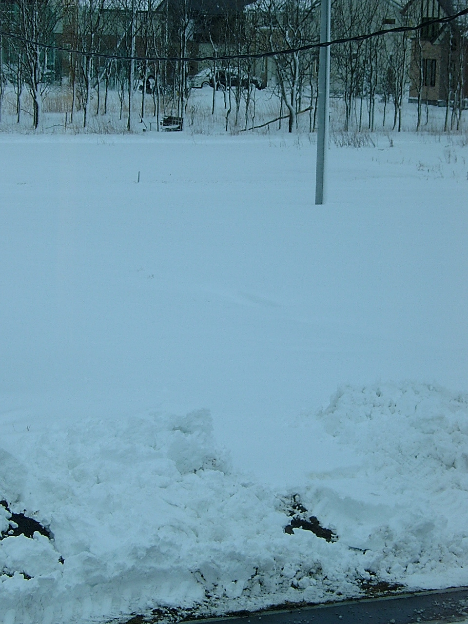 c0158061_82359.jpg