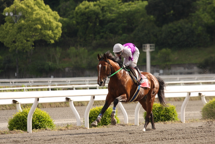 2009年4月26日（日） 高知競馬 10R 卯月特別 B1 選抜馬_a0077663_19503871.jpg