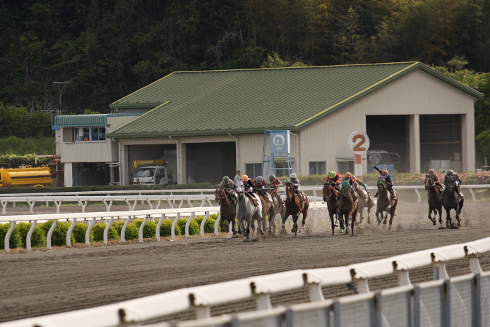 2009年4月26日（日） 高知競馬 10R 卯月特別 B1 選抜馬_a0077663_19504871.jpg