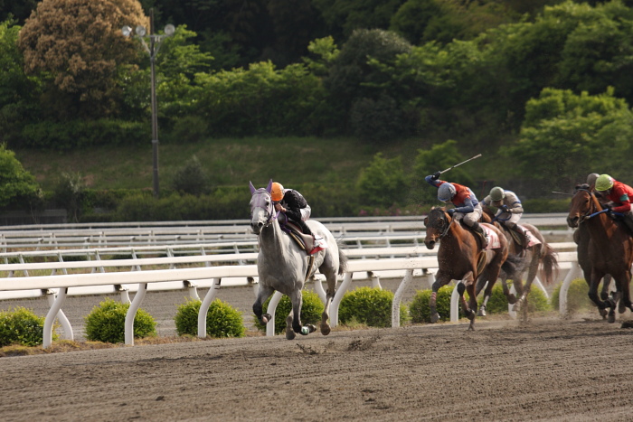 2009年4月26日（日） 高知競馬 10R 卯月特別 B1 選抜馬_a0077663_19505663.jpg