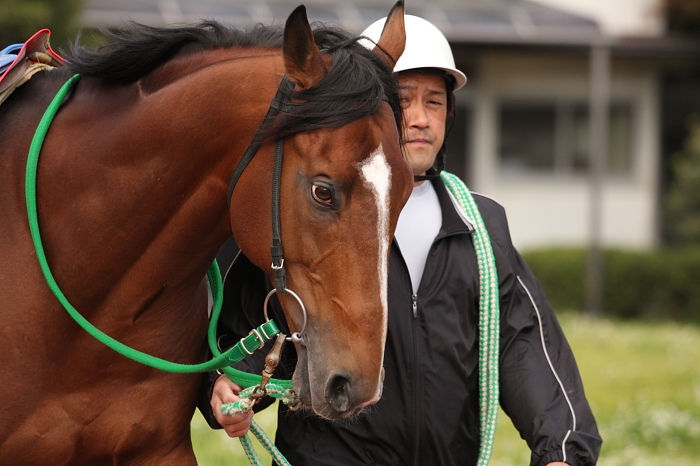 2009年4月26日(日) 高知競馬 10R 卯月特別 B1 選抜馬_a0077663_1950719.jpg