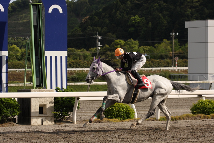 2009年4月26日(日) 高知競馬 10R 卯月特別 B1 選抜馬_a0077663_19511339.jpg