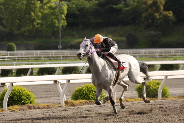 2009年4月26日（日） 高知競馬 10R 卯月特別 B1 選抜馬_a0077663_195148.jpg