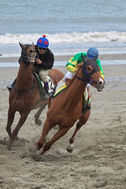 相良草競馬（4月26日）_c0057265_2041661.jpg