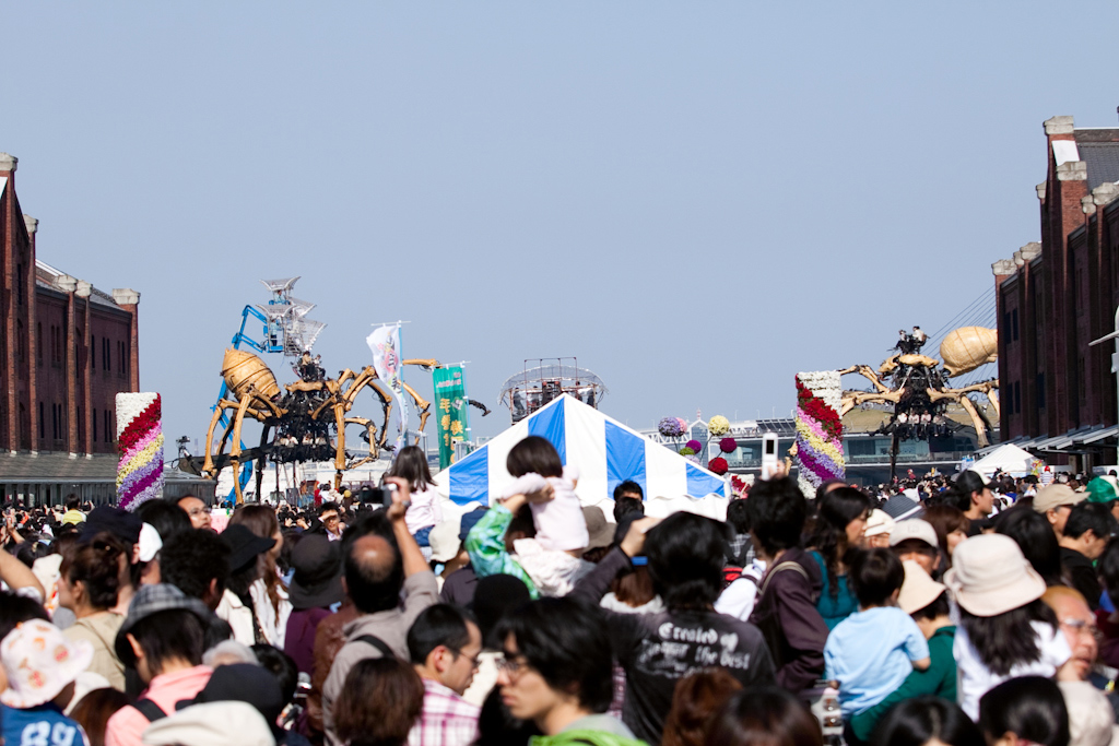 a0119166_08417.jpg