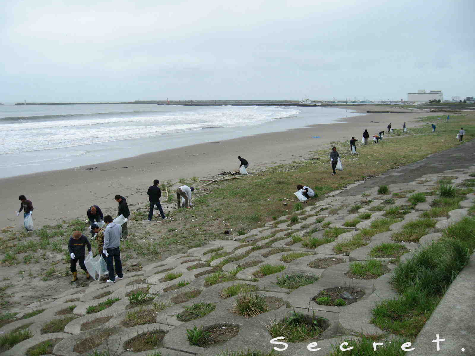 d0085470_15453477.jpg