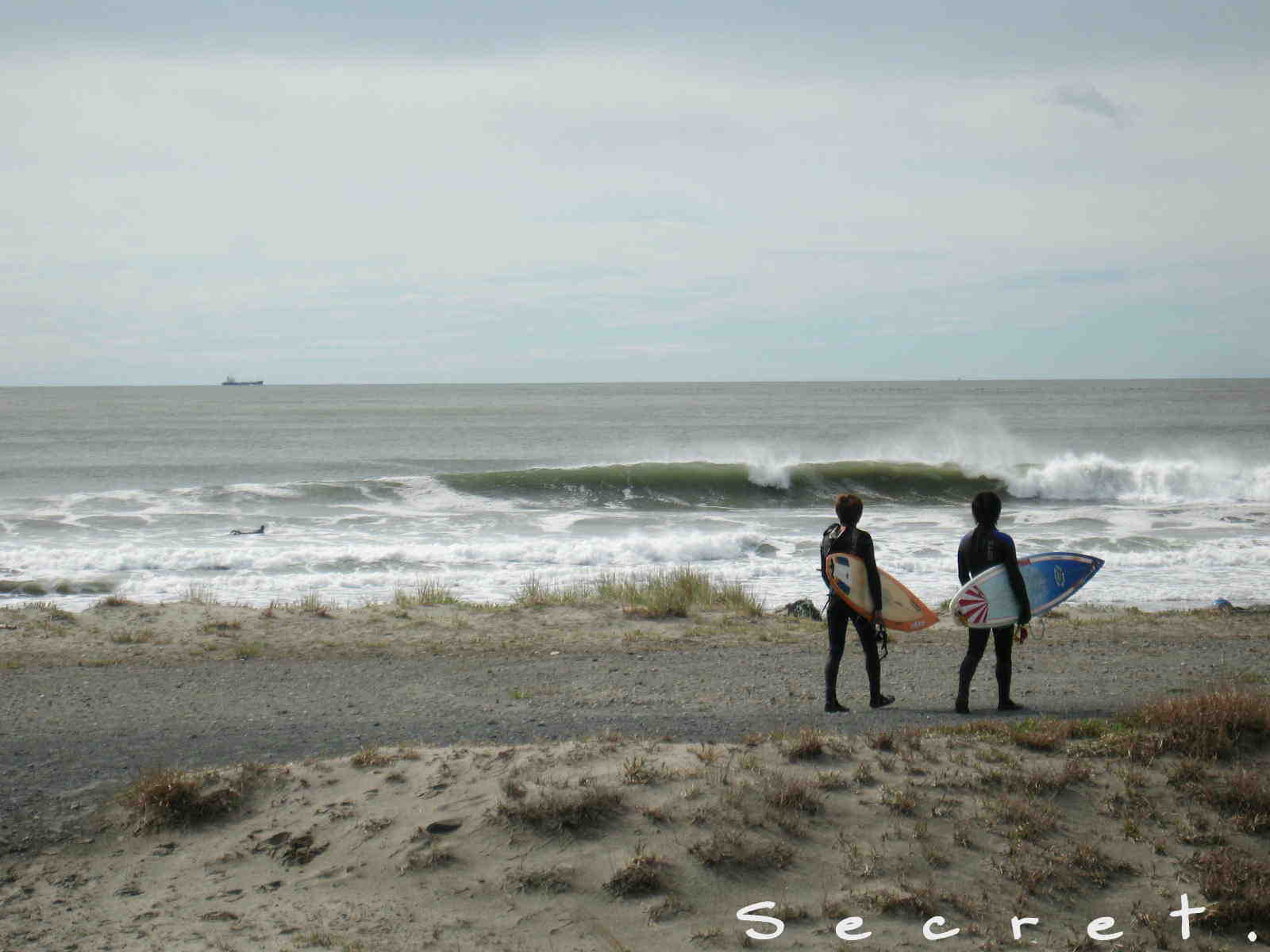 d0085470_1545549.jpg