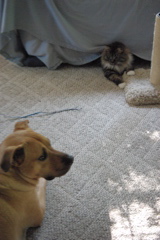 f0004775_52501.jpg