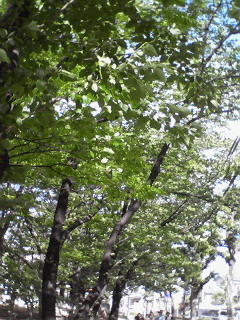 c0180581_055292.jpg