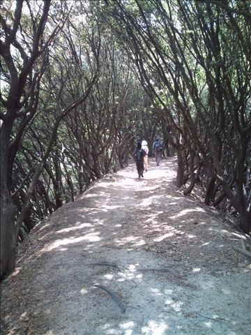 e0024081_17133399.jpg