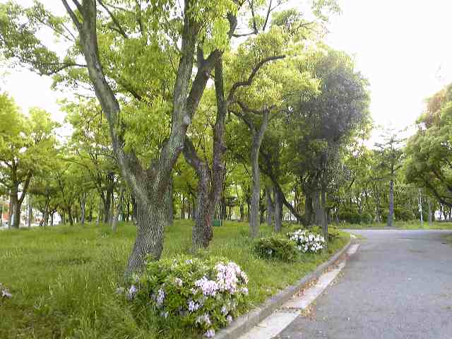 Spiritualな風の一日。_e0142585_13951.jpg