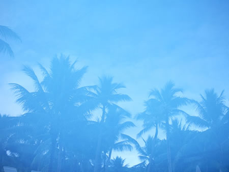 b0123486_1849957.jpg