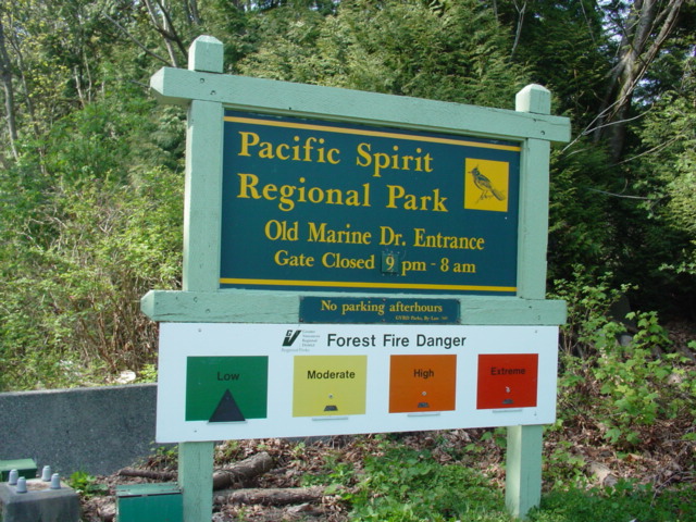 f0129786_95605.jpg