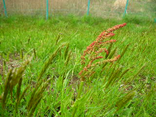 c0029190_16412483.jpg