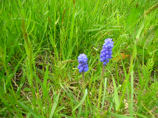 c0029190_16464572.jpg