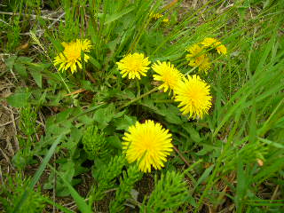 c0029190_16502526.jpg