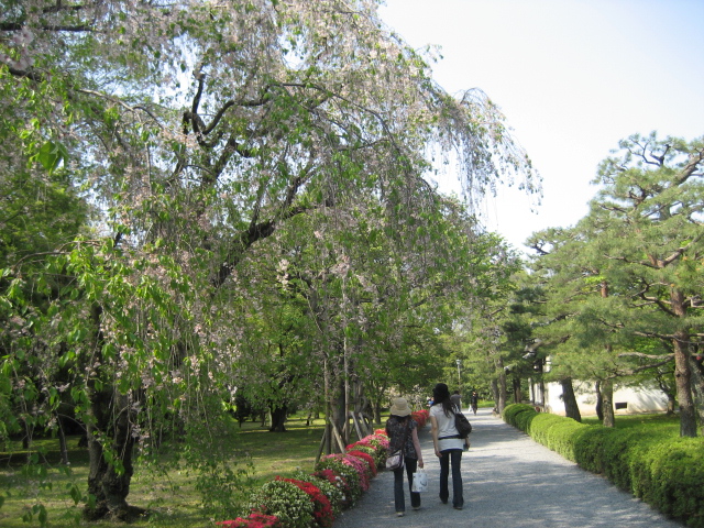 a0068693_22545366.jpg