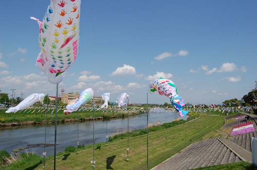 d0153294_19555815.jpg