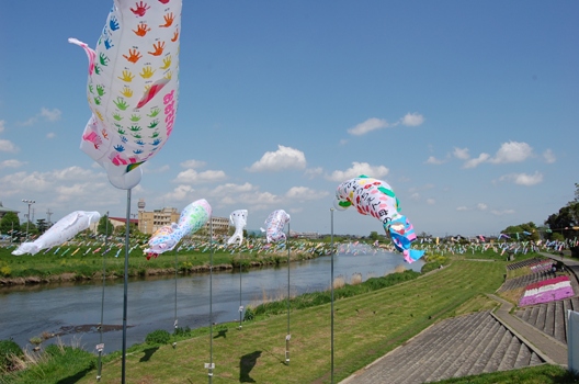 越谷　久伊豆神社～花田苑へ　　　　　_d0153294_19555815.jpg