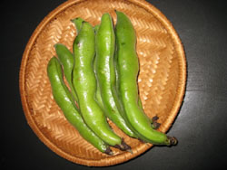 豆の季節_f0061394_1255284.jpg
