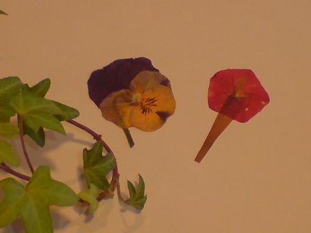 c0128199_15312337.jpg
