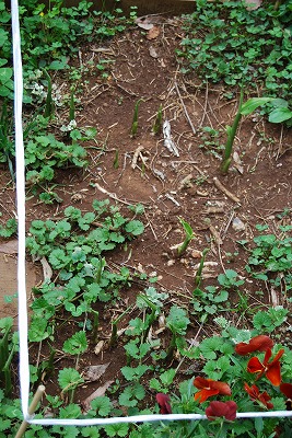 c0124100_22133273.jpg