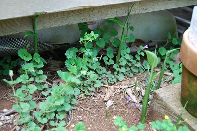 c0124100_22135722.jpg