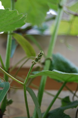 c0124100_2216877.jpg