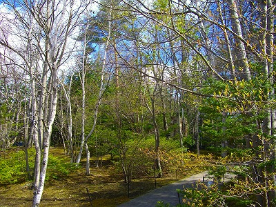 卒業旅行ＩＮ軽井沢（２日目）_c0125702_2064789.jpg