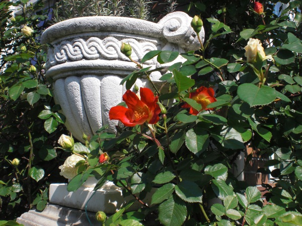 e0163202_20343810.jpg