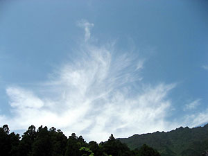 e0118904_21431427.jpg