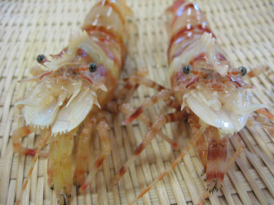 鬼!? _d0135908_8545020.jpg