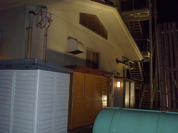 b0159611_055438.gif