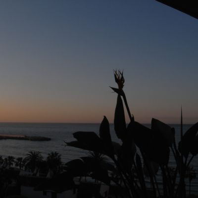 c0026612_1371553.jpg