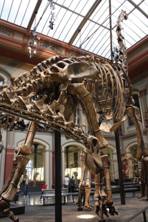 f0200015_043278.jpg