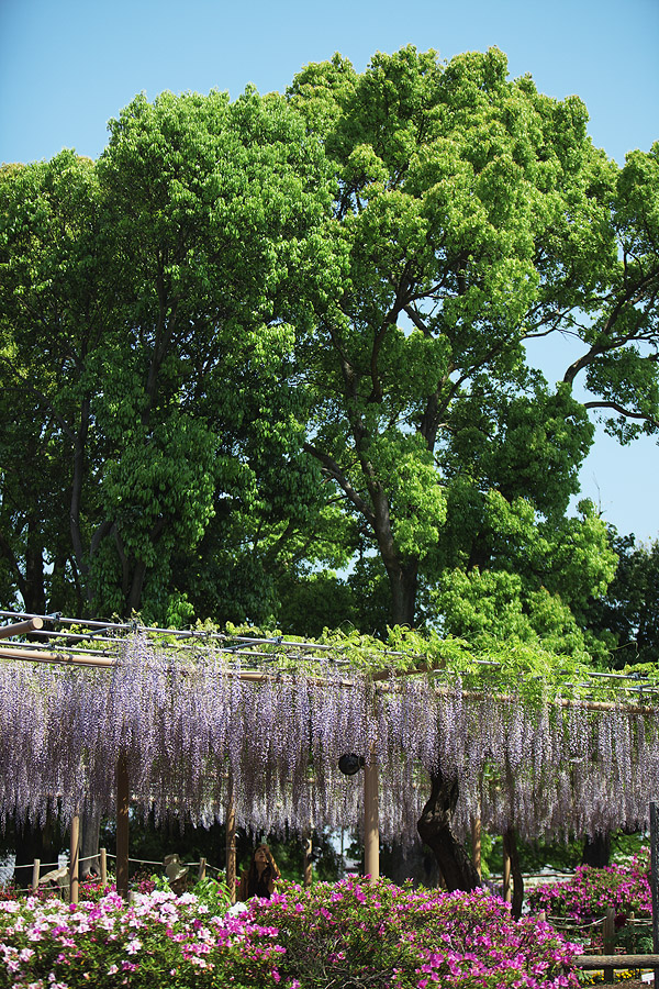 c0115616_20114243.jpg
