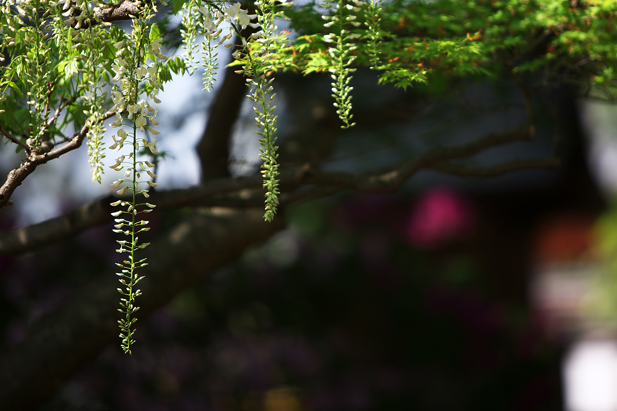 c0115616_2012165.jpg