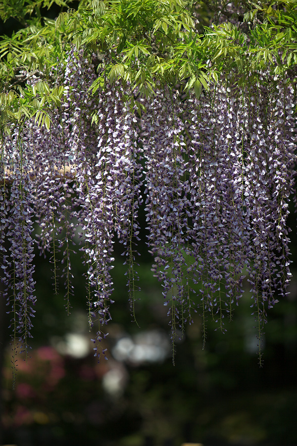 c0115616_20124280.jpg