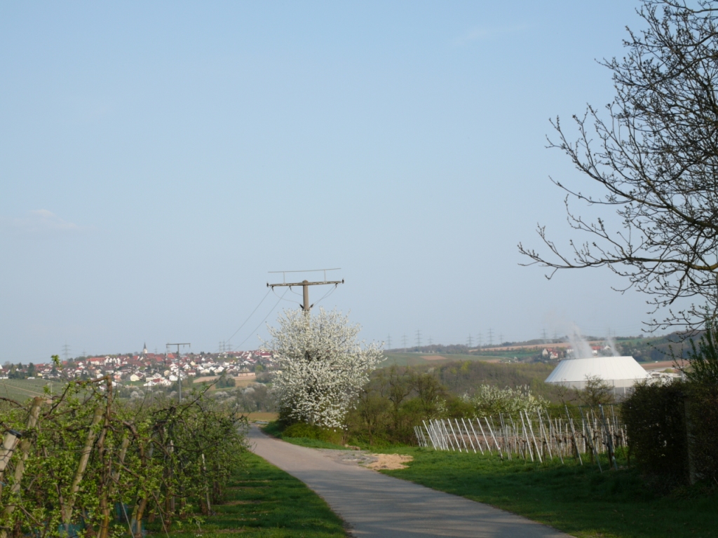 b0148617_7223869.jpg