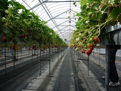 f0204721_1543714.jpg